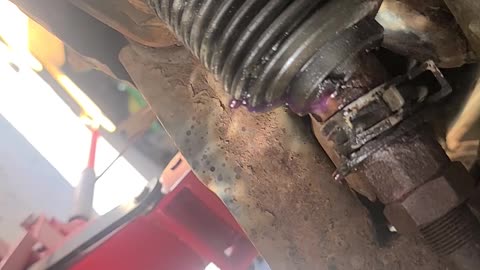 Old Taco is leaking