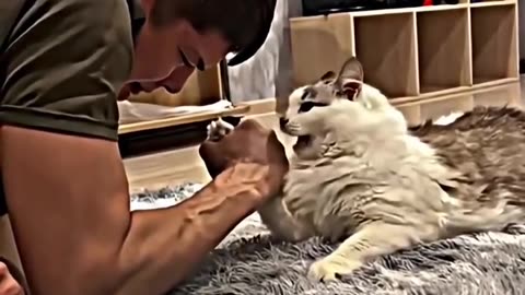 Nice cat 😻🐈😺