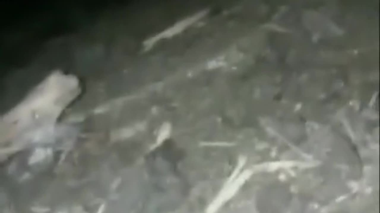 😨👻 You Won't Believe What They Caught on Camera! Jinn | TheHauntingHour