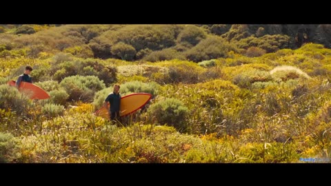 📽️The Surfer (2025)🎥 FamilyShield Review