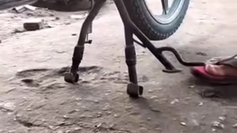 New funny video