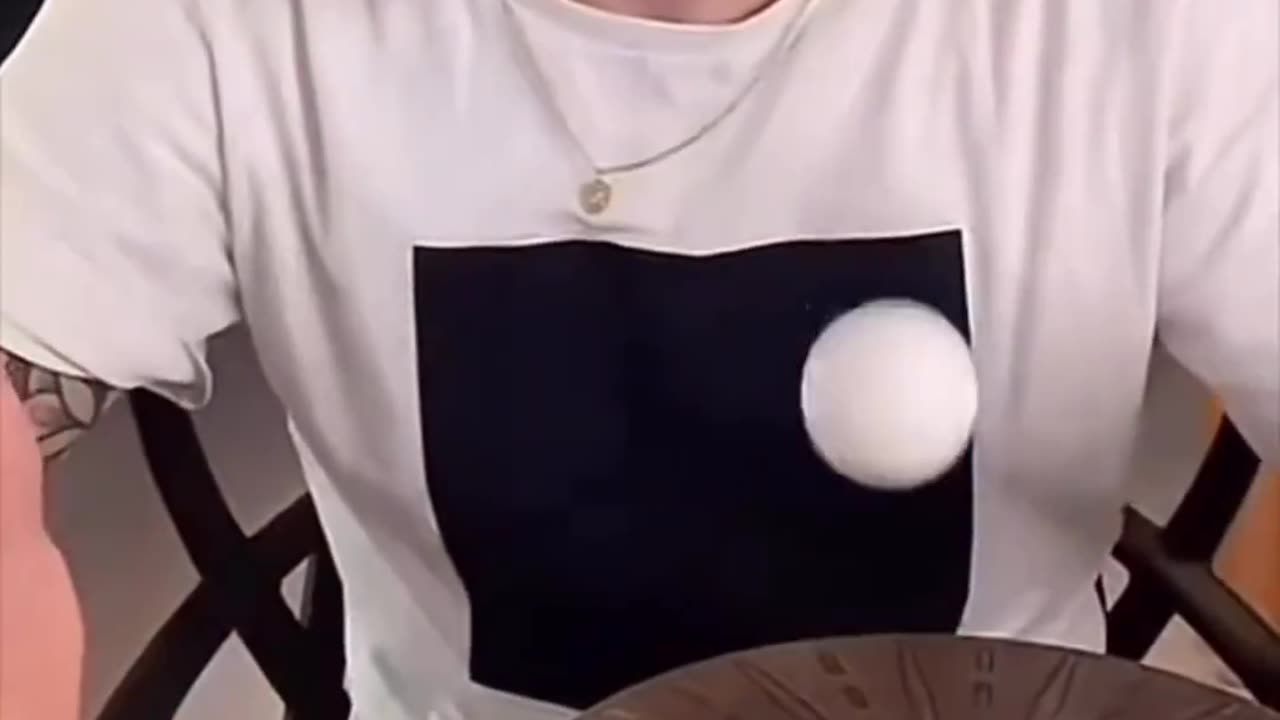 funnyvideosdaily