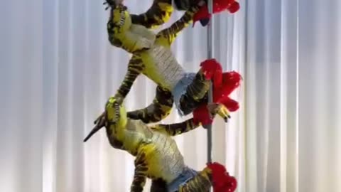Hot video - The seductive and sexy dance of dinosaurs