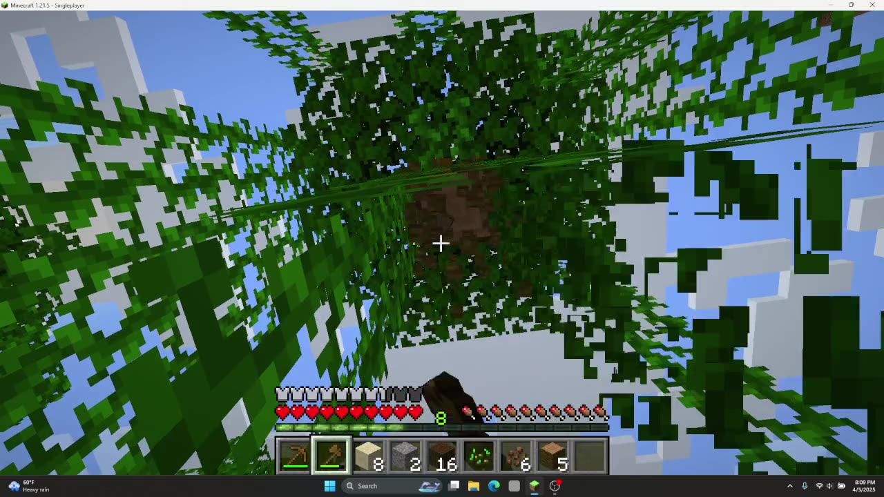 Baby Turtle Eggs & Mining