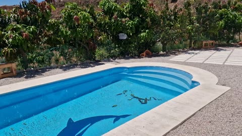 Sneak Peak of the New House😍🌿✨️