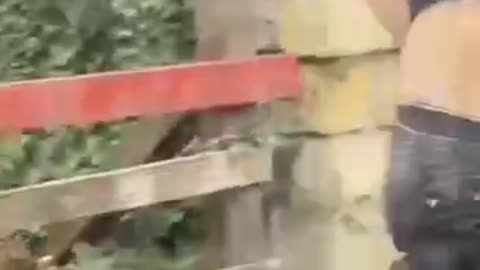 Ukraine war combat/related footage 12/30/25