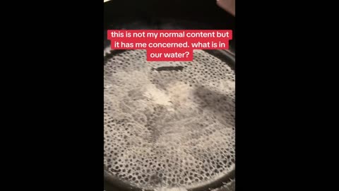 Woman Finds Something "Strange" In The Water , But It's Not Just The Water...