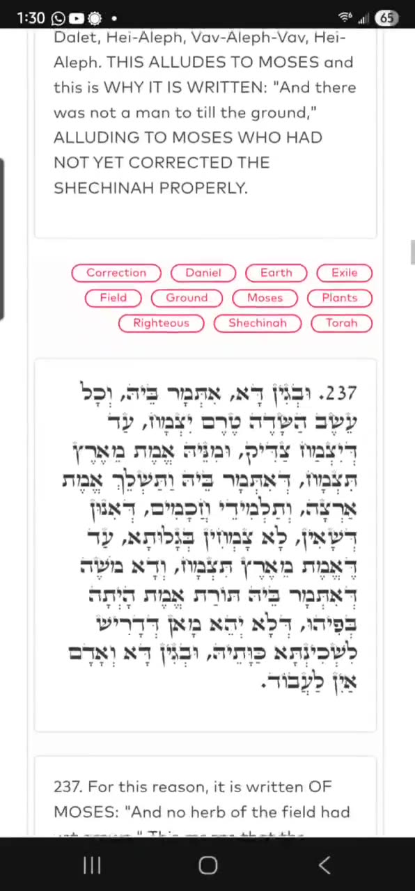 ZOHAR #12. MOSES AND THE TWO MESSIAHS. Taught by our Raya Mehemna, YIRAH HA'ARI. (BREISHIT) 5/26/25