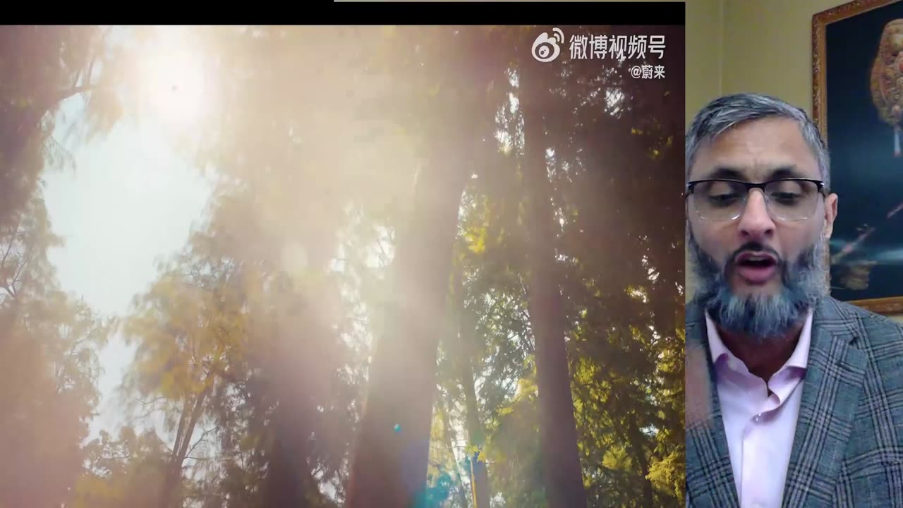 Nio Dan Ives Just Admitted Tesla Demise #Nio #Tesla
