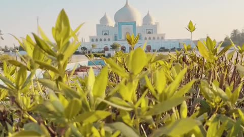 Garhi Khuda Bux, Sindh #maxrecords #larkana #sindh #pakistan