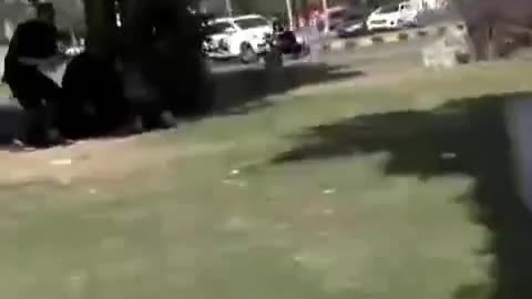 The Medianites in action