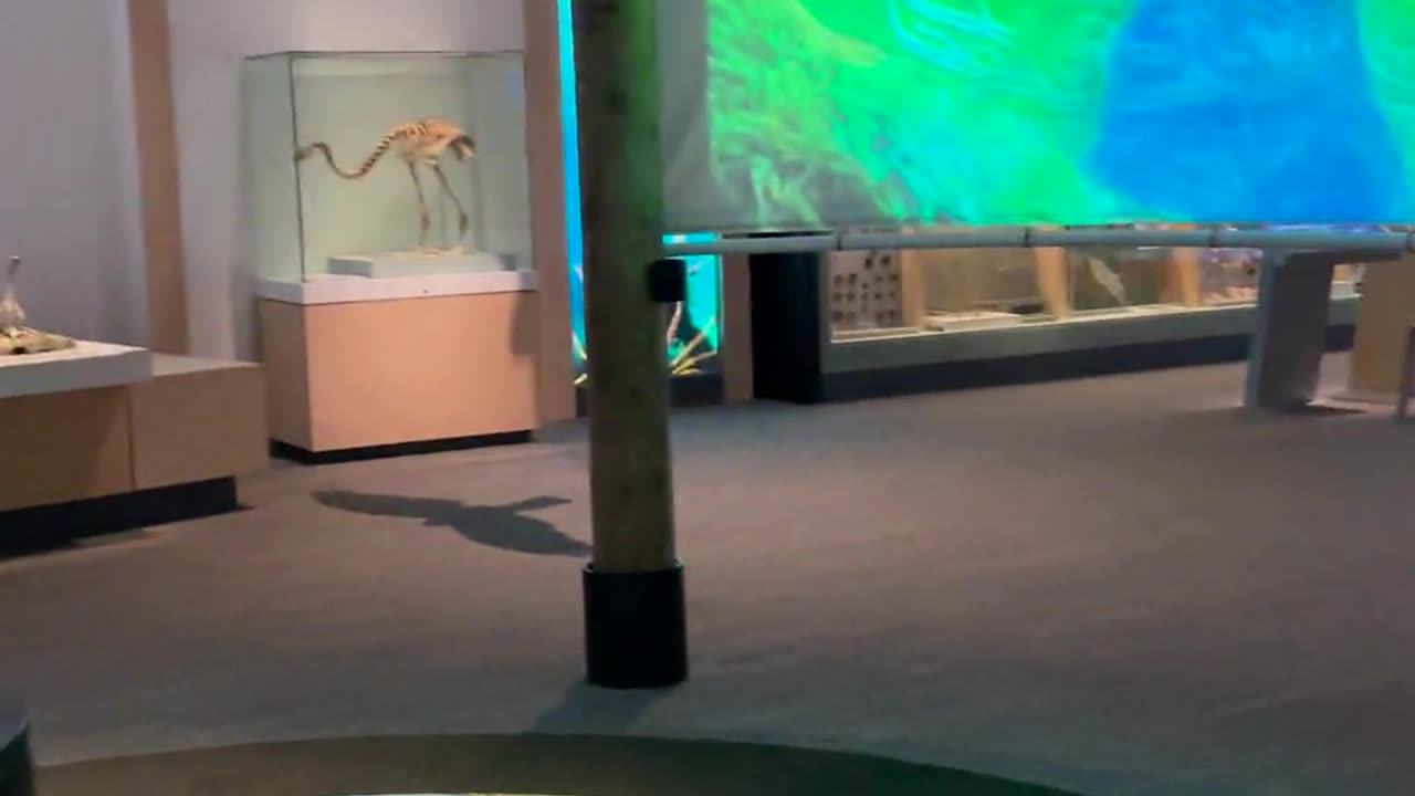 😂💡 You Won't Believe This Clever Solution! | FunFM