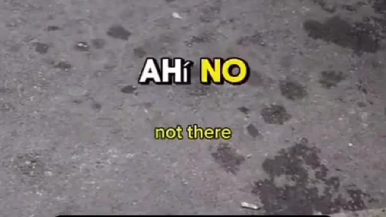 ffgg