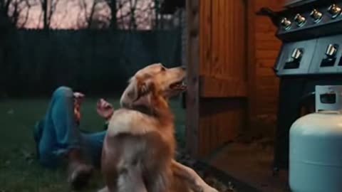 Dog Pushes Owner Out Before Explosion | Heroic Animal Moment 🐕🔥