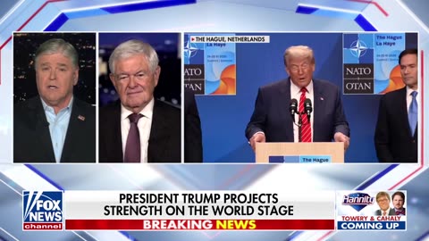 GINGRICH ON HANNITY: 'Trump is Very Disciplined and Has a Clear Vision of What He Wants'