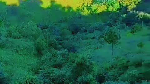 Natural mountain beauty
