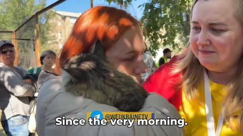 🐾❤️ Ukraine Russia War | Cat Semyon Rescued from Kyiv Rubble | RCF