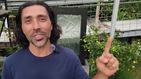 I Could Get SUED For Sharing This Fruit Cloning Hack… Here’s How! | @plantbasedgardener