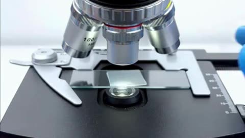 “Yakult Under the Microscope 🔬✨ You Won’t Believe What’s Inside!”