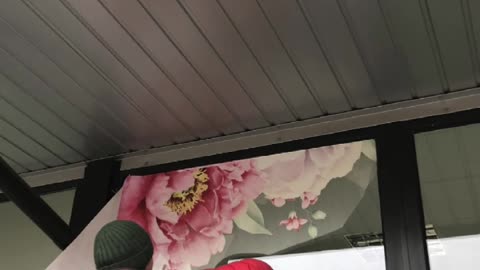 Замовити брендування дверей Тернопіль