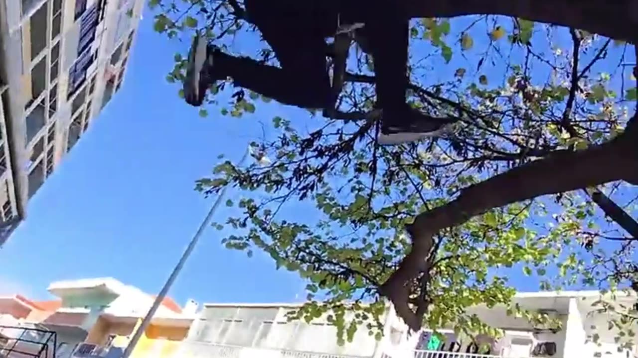 Big Fails Competition