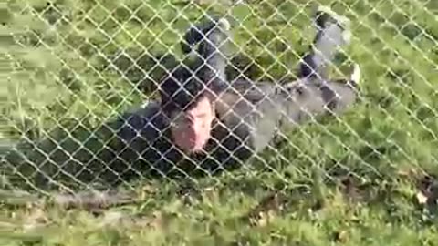 https://youtube.com/shorts/FVE9Ve6NxhU?si=AxWor2AIBYe9Iab6