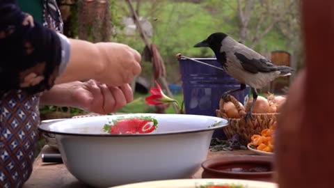 Campfire Rustic Meatballs Pilaf Cooking in the Heart of Nature_part4