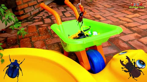 Lure the Lion with Meat and Transfer to the Bucket