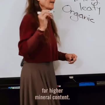 What are the best sources of minerals?