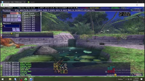 Playing Final Fantasy XI Online