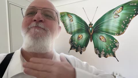 What a huge butterfly