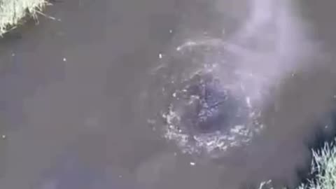 Probing Russian Soldier Floating Down River