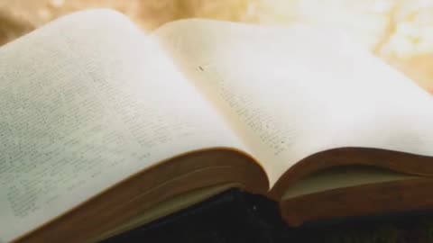 The Perfection of God's Holy Word