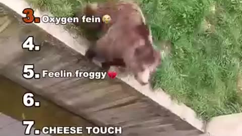 Can't Stop Laughing