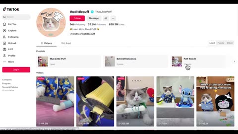 The Next BIG Crypto Memecoin Just Discovered → Like Finding Dogecoin, Pepe, & Brett EARLY!?
