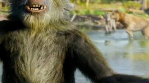 Mufasa 😍❤️ (Part - 68)....#reels #viralreels #reel #mufasa #animation #lastest #romantic #viralreel