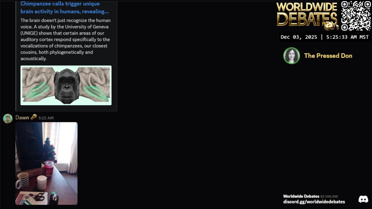 0203 WIDESTREAM - Worldwide Debates - YouTube/Twitch/Rumble