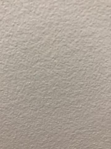 Family Christmas Photos