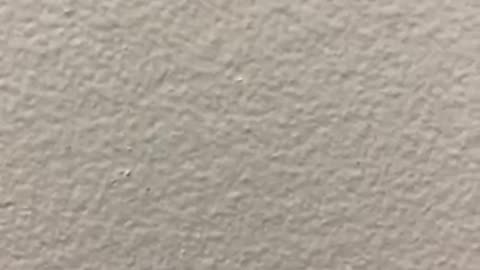 Family Christmas Photos