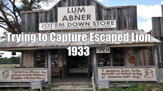 33-00-00 Lum & Abner L&A Trying to Capture Escaped Lion date unknown