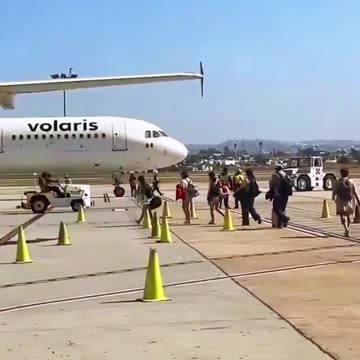 LOVING THE NEW MARIACHI SONG!!!🇲🇽🪇😂😂😂