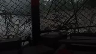 Un T-90 destruye posición ucraniana pese a ser inmovilizado