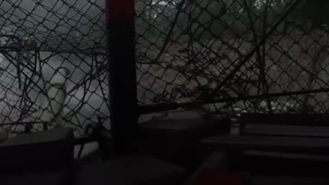 Un T-90 destruye posición ucraniana pese a ser inmovilizado