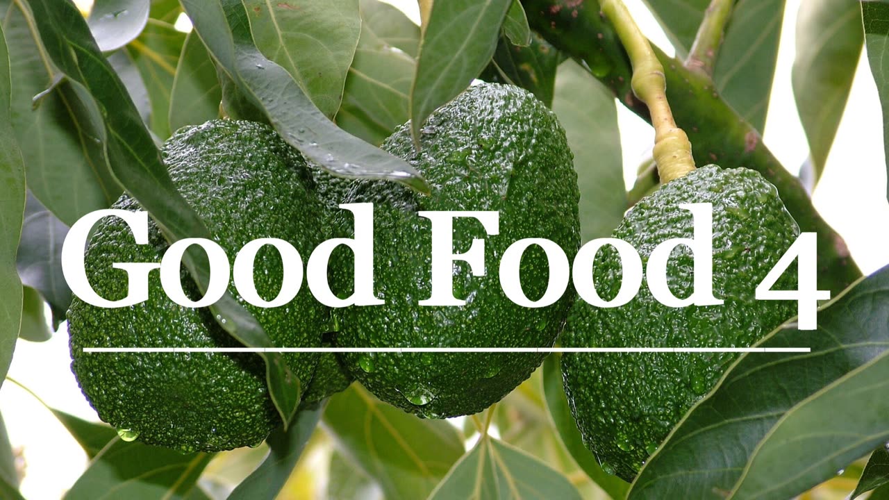 Good Food 4