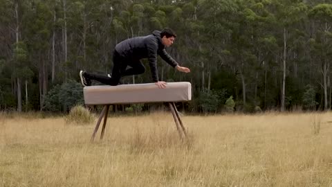 If animals glitched IRL