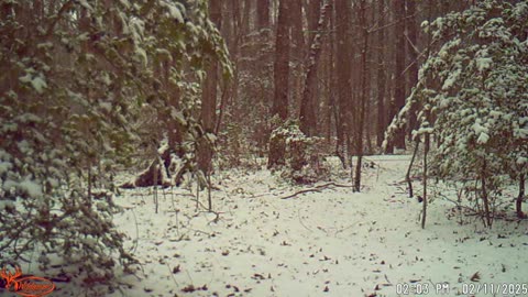Snow