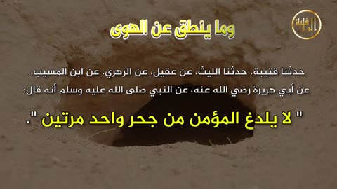 وما ينطق عن الهوى 147 لا يلدغ