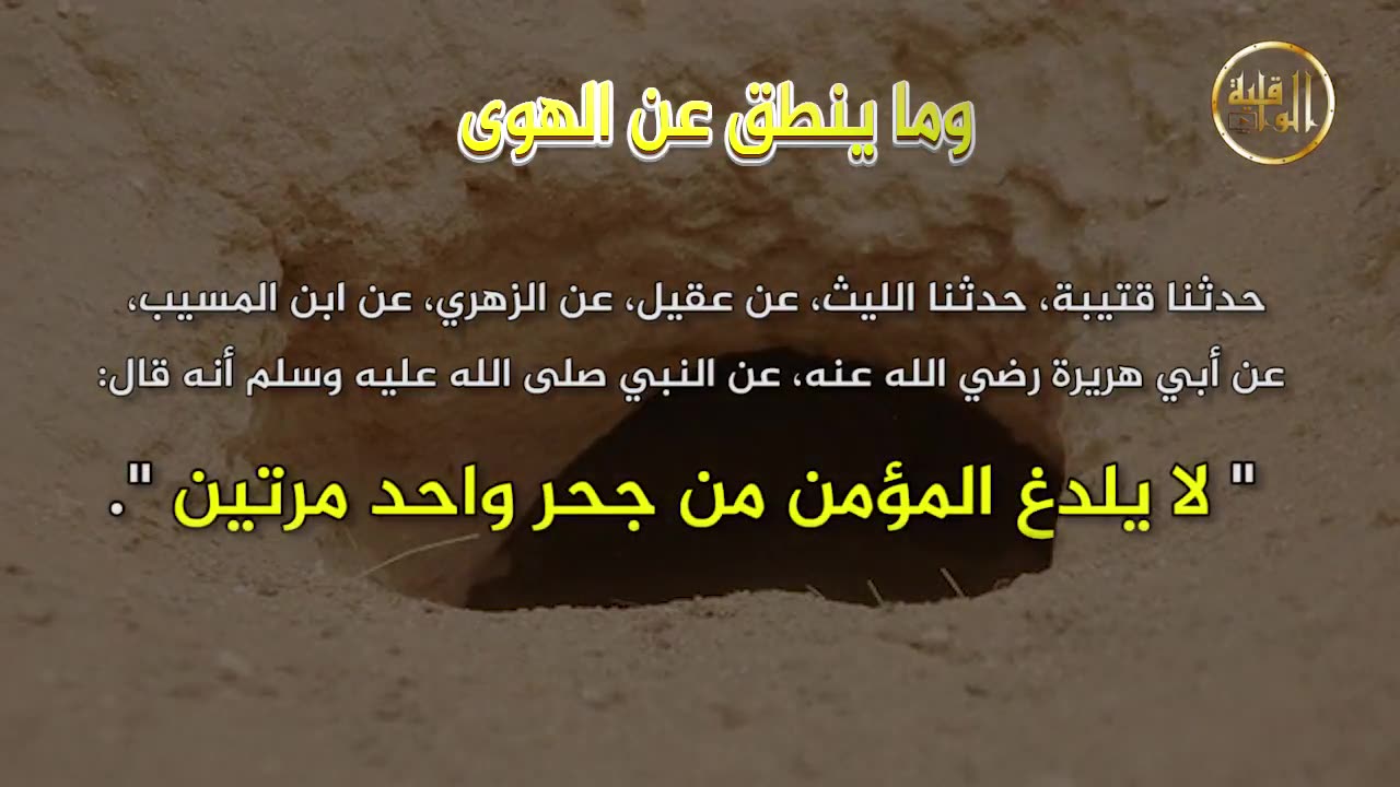 وما ينطق عن الهوى 147 لا يلدغ