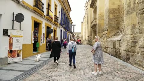 Córdoba hostel to Mezquita de Córdoba Route Part 1