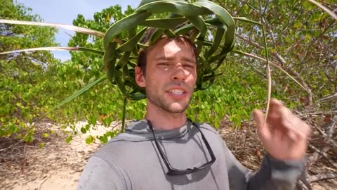 5 Days Solo Island Survival No Food, Water, or Shelter_part9